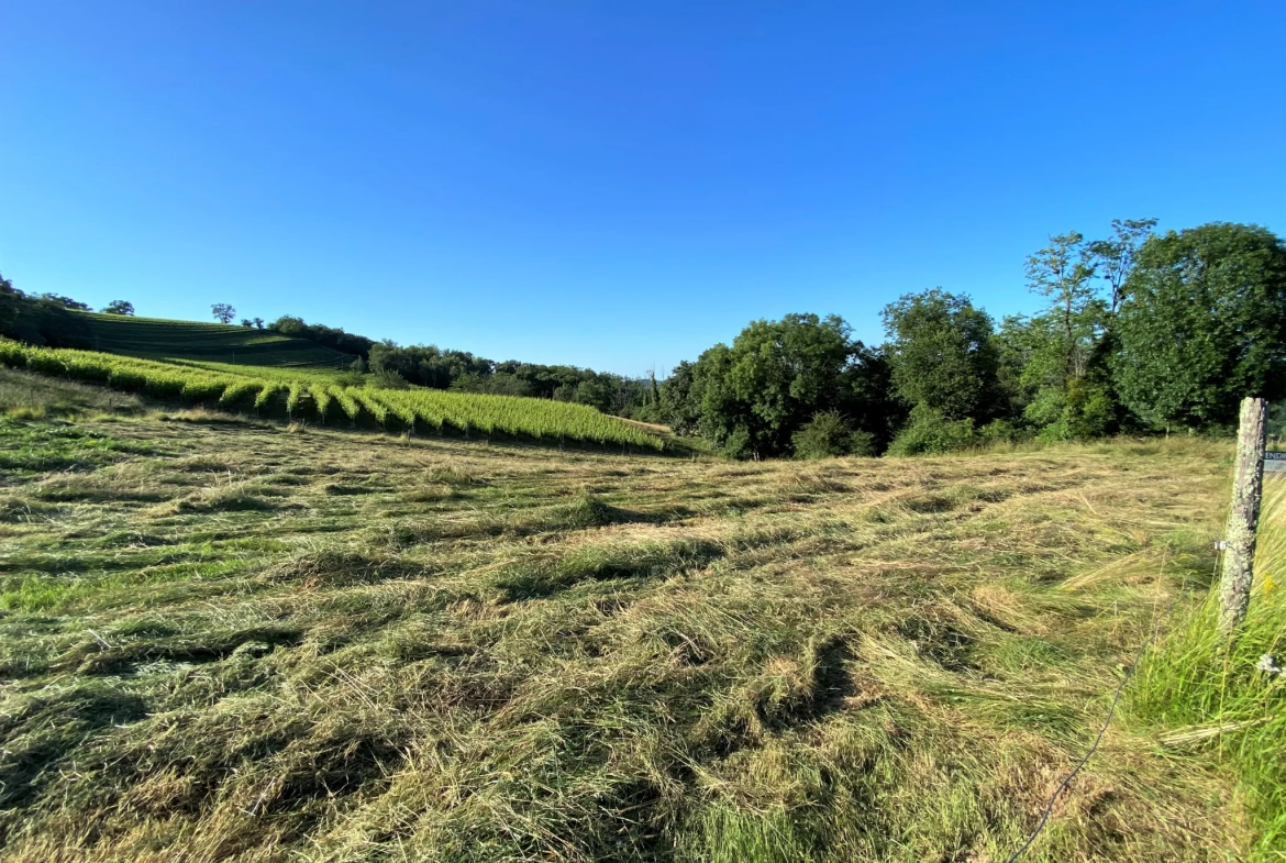 Terrain Constructible avec Vue Pyrénées à Monein 