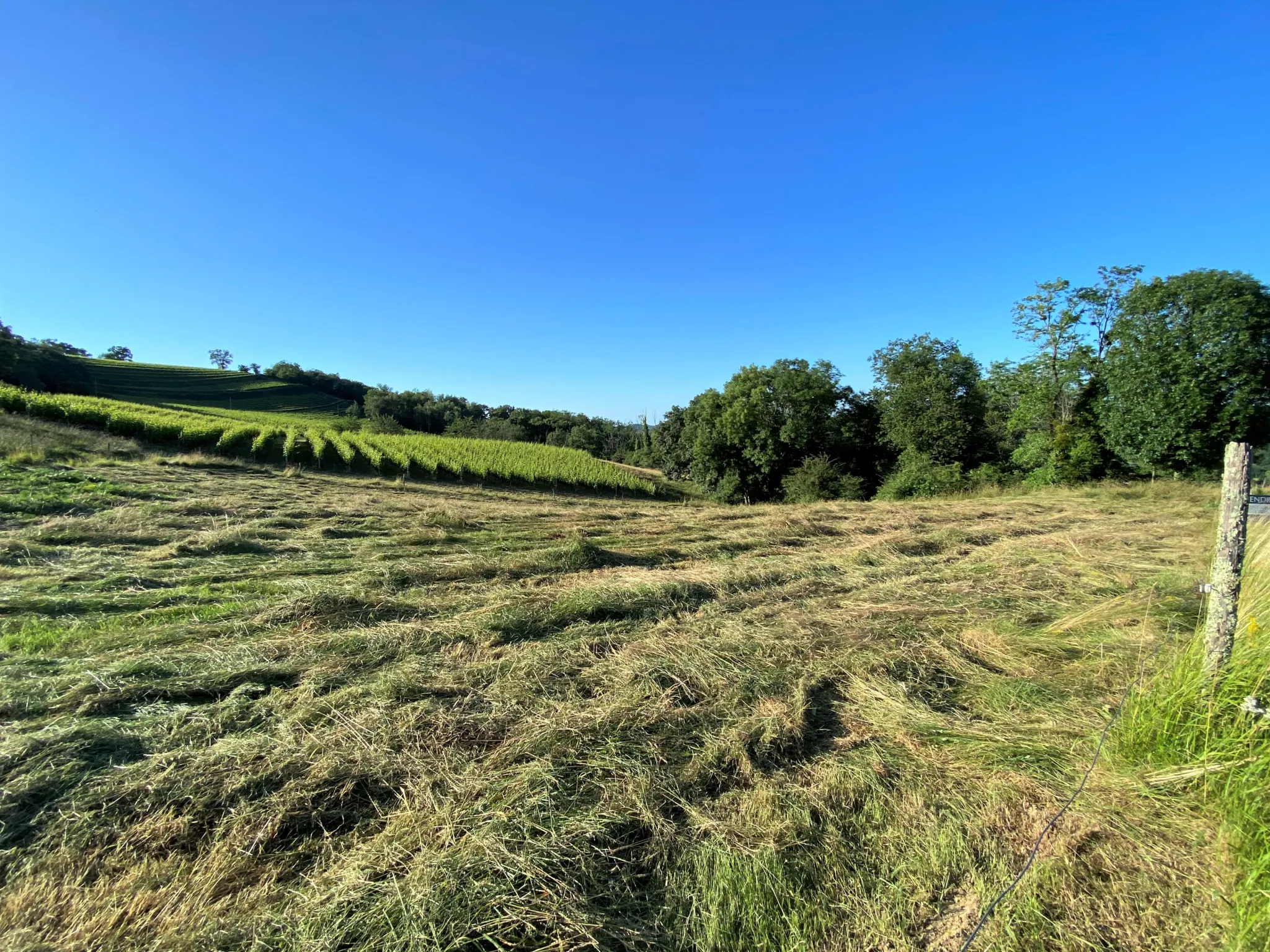 Terrain Constructible avec Vue Pyrénées à Monein 