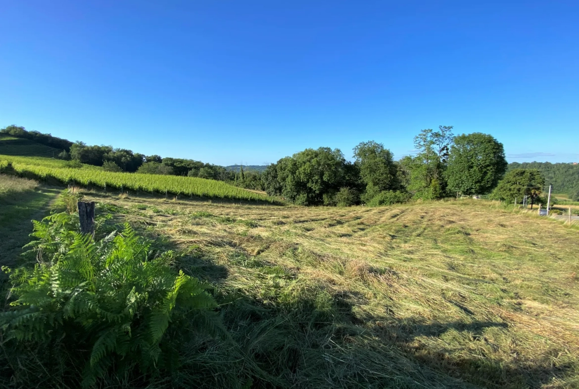 Terrain Constructible avec Vue Pyrénées à Monein 