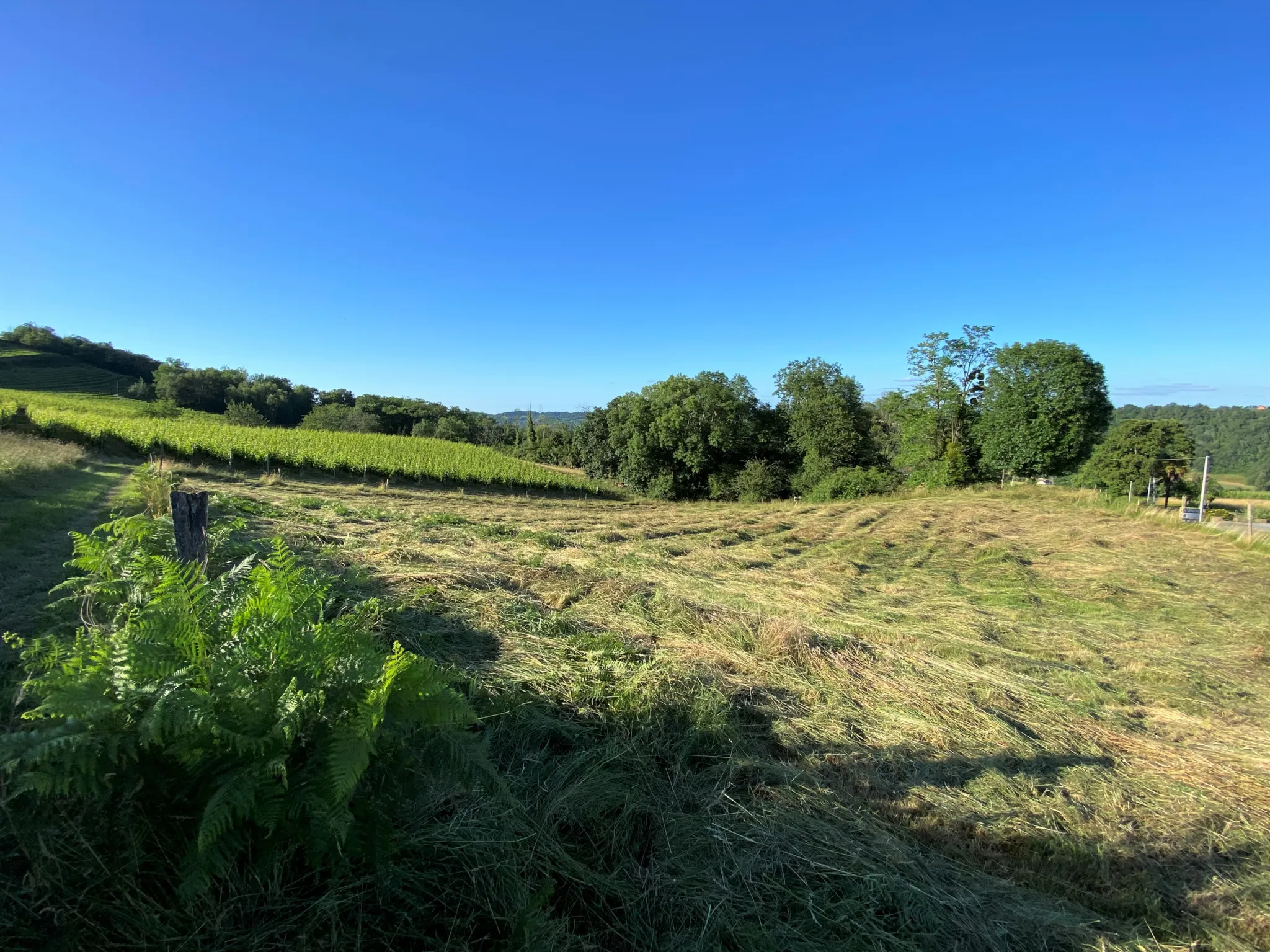 Terrain Constructible avec Vue Pyrénées à Monein 