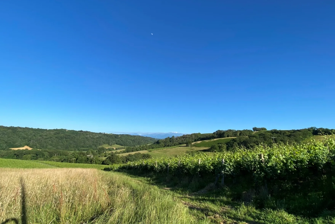 Terrain Constructible avec Vue Pyrénées à Monein 