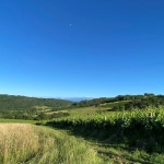 Terrain Constructible avec Vue Pyrénées à Monein