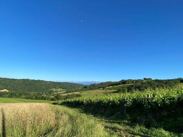 Terrain Constructible avec Vue Pyrénées à Monein