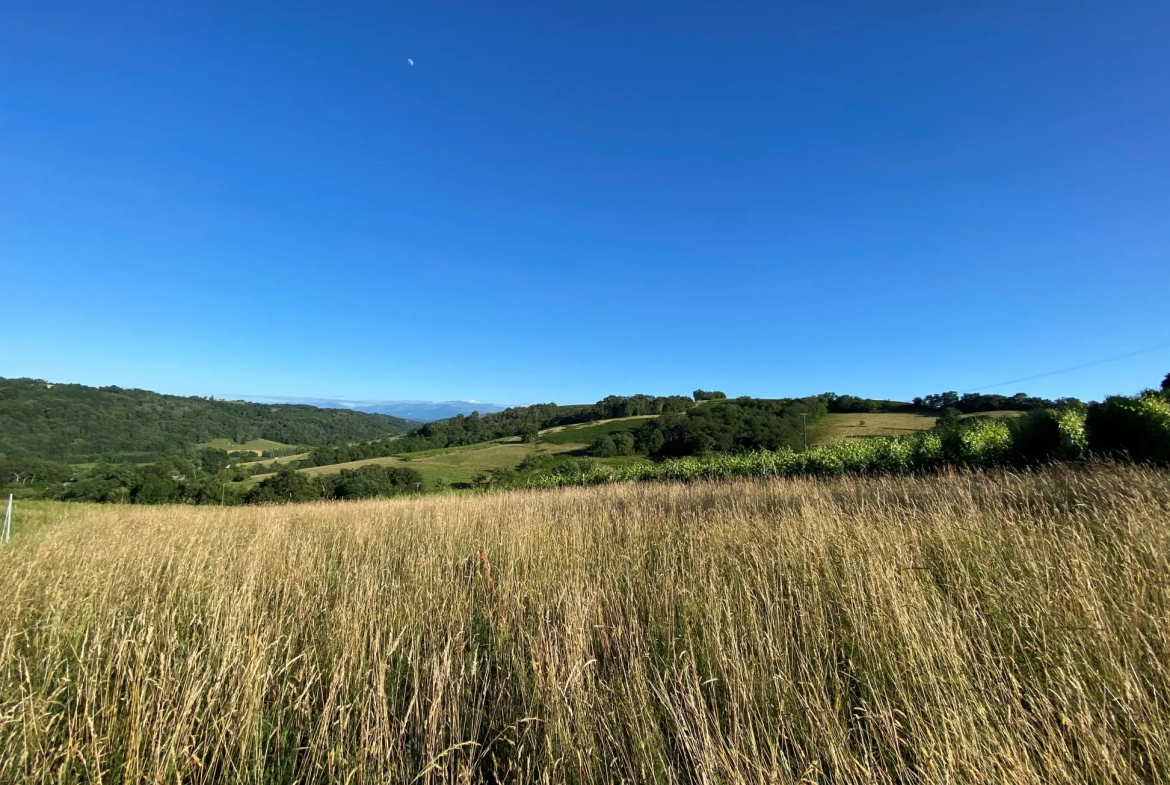 Terrain Constructible avec Vue Pyrénées à Monein 