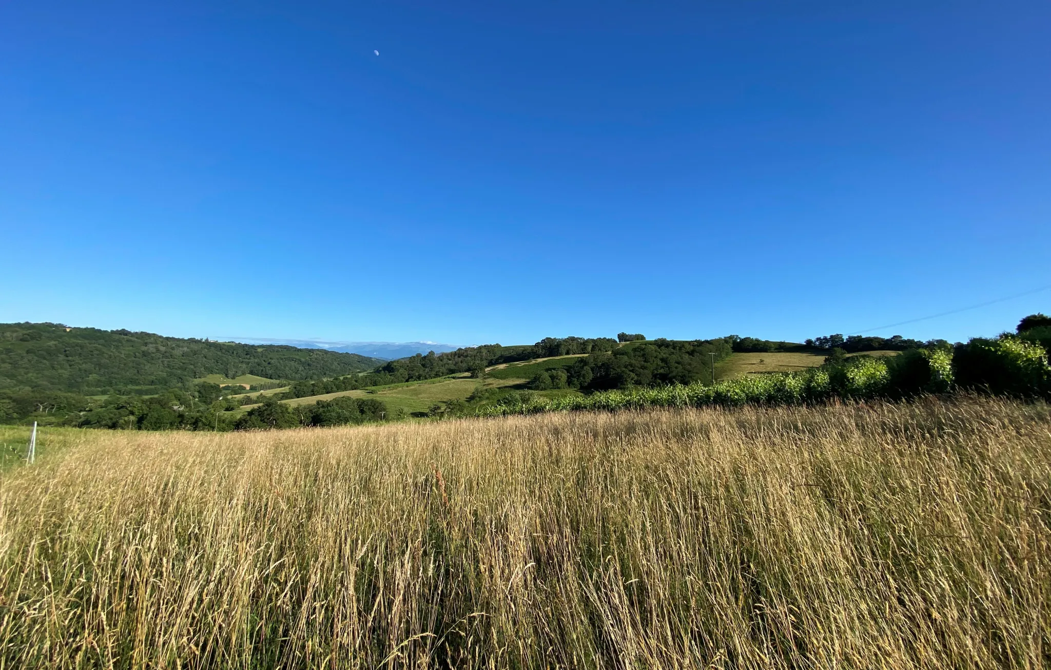 Terrain Constructible avec Vue Pyrénées à Monein 