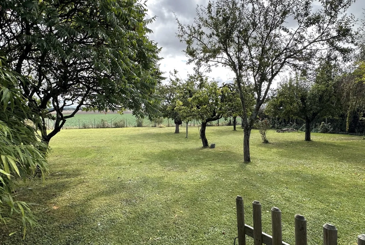 Maison Briarde à Donnemarie Dontilly avec Jardin et Vue Panoramique 