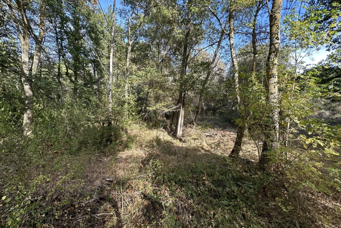 Terrain agricole de 2,49 ha à Limoux 