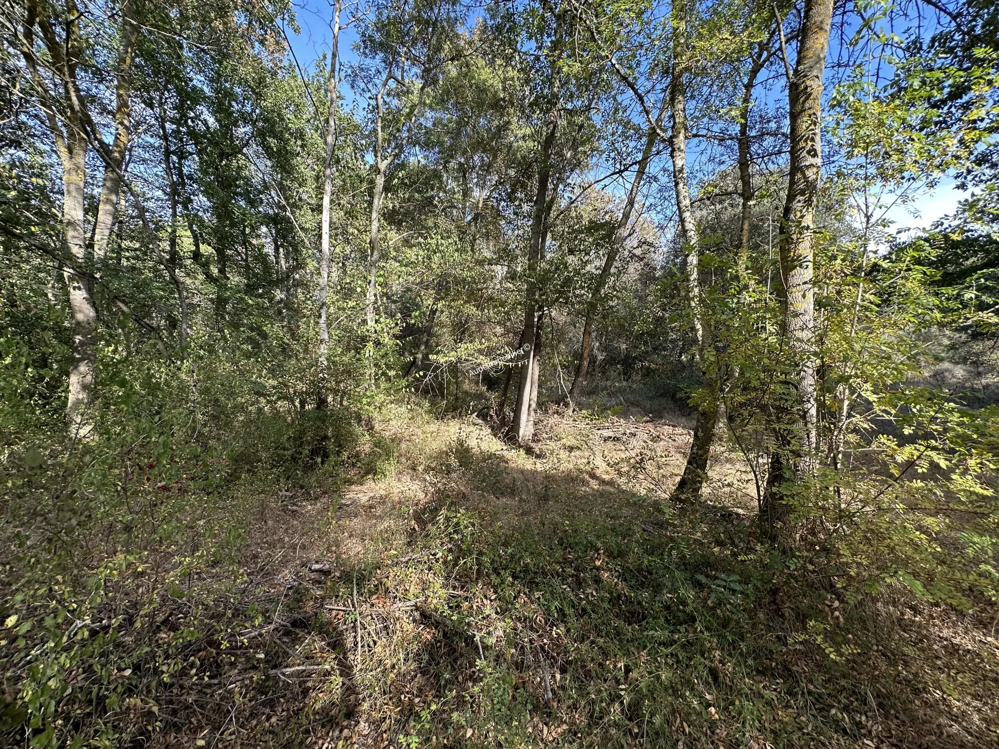 Terrain agricole de 2,49 ha à Limoux 