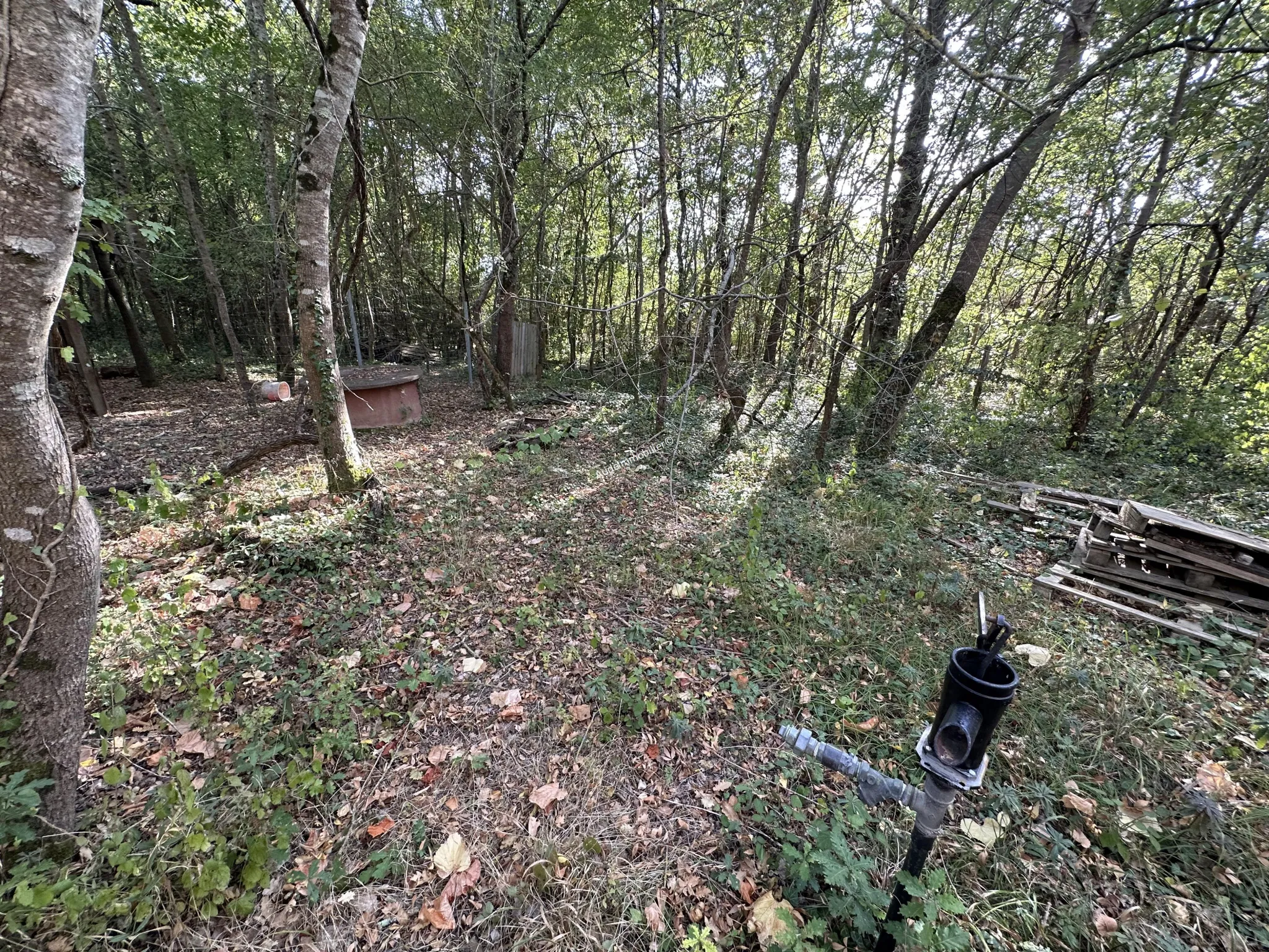 Terrain agricole de 2,49 ha à Limoux 