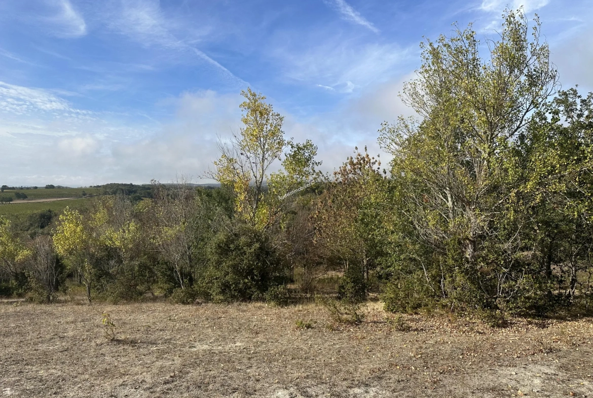 Terrain agricole de 2,49 ha à Limoux 