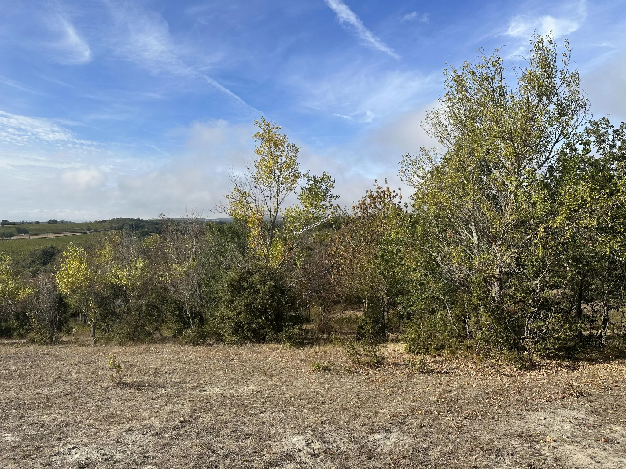 Terrain agricole de 2,49 ha à Limoux 