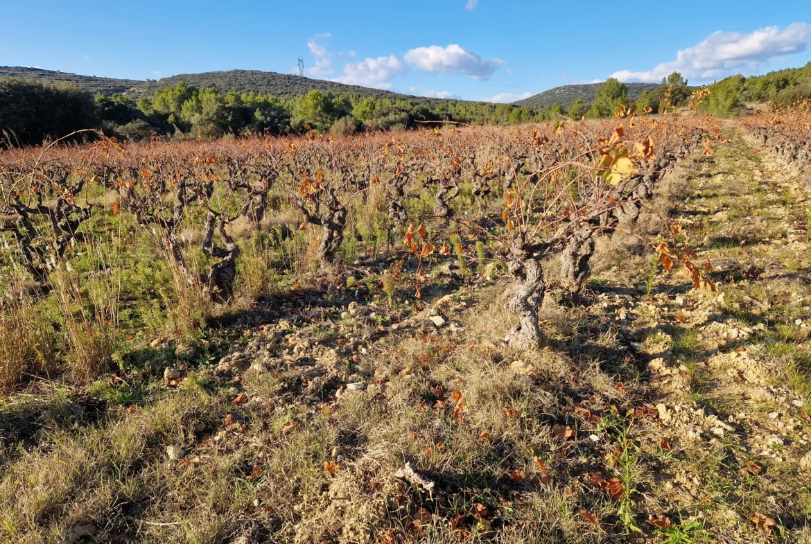 Terrain Agricole à Vendre à Garrigues 