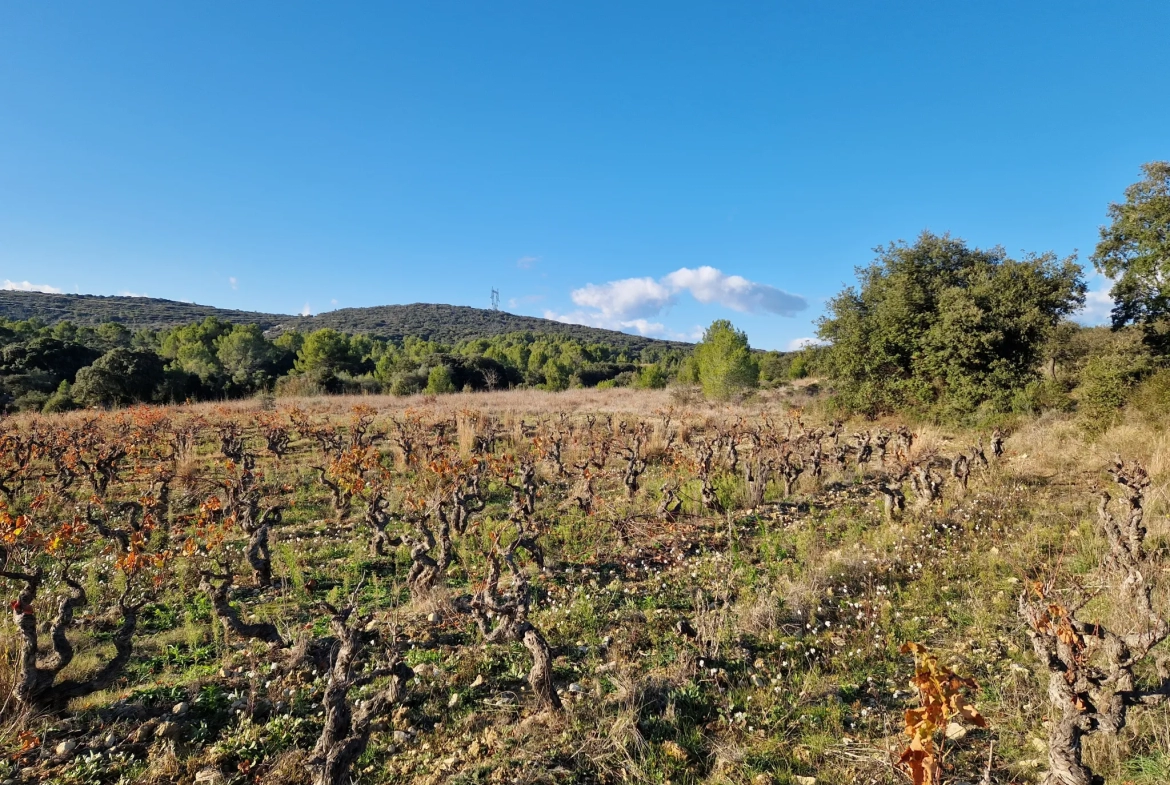 Terrain Agricole à Vendre à Garrigues 