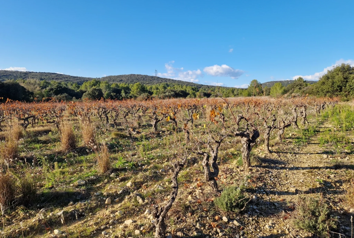 Terrain Agricole à Vendre à Garrigues 