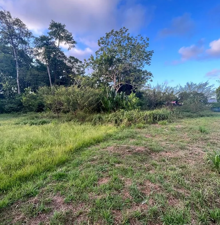 Terrain à bâtir à Macouria - 800 m2 