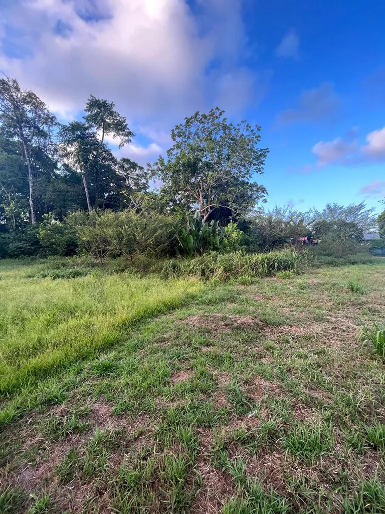 Terrain à bâtir à Macouria - 800 m2 