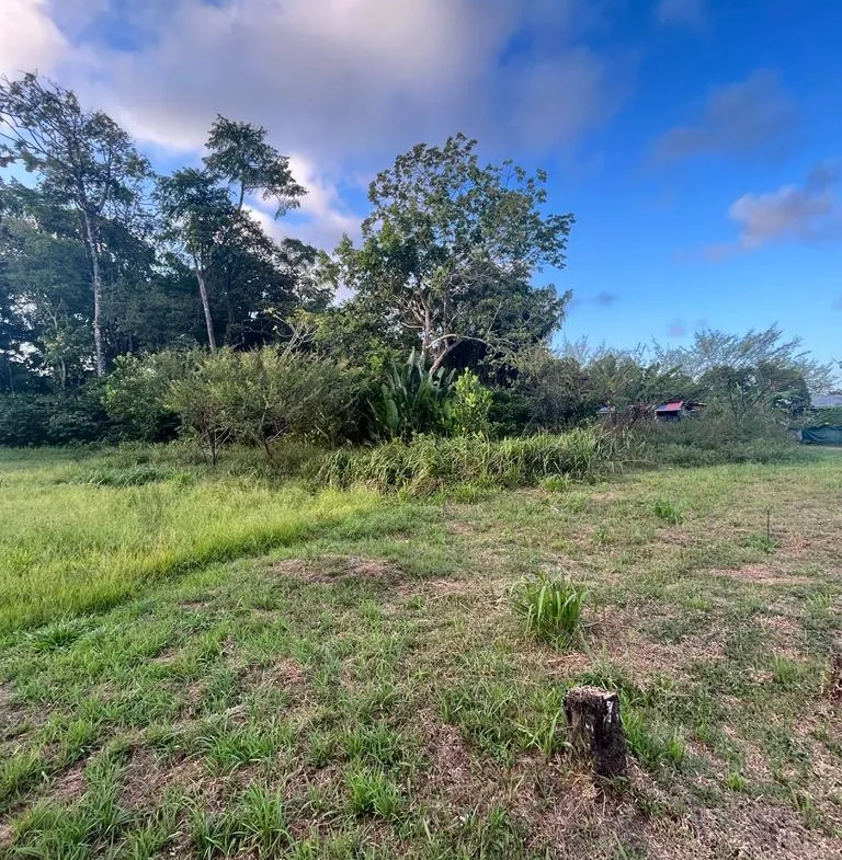 Terrain à bâtir à Macouria - 800 m2 