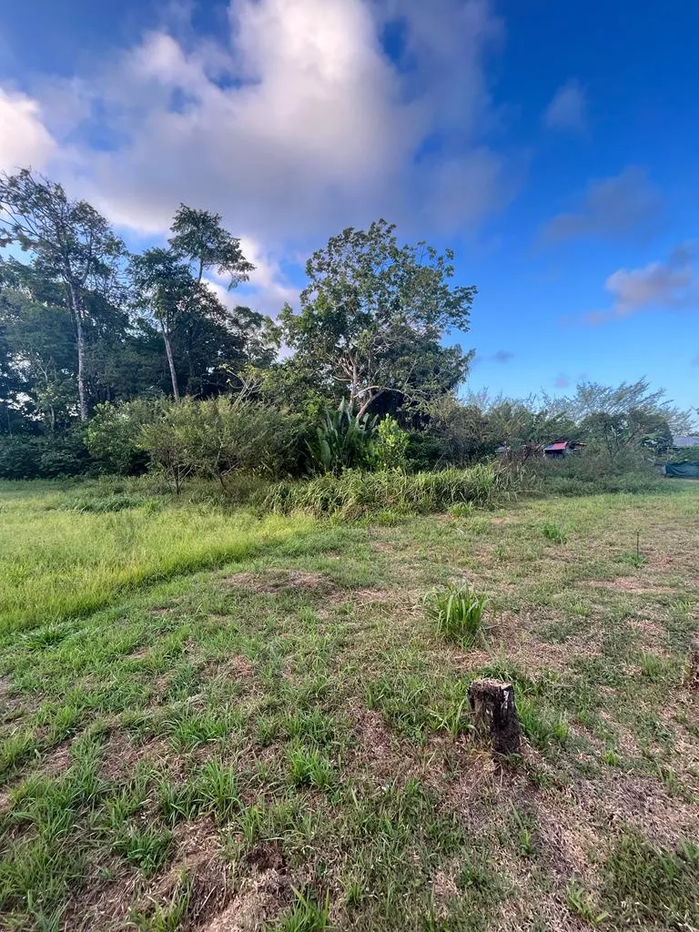 Terrain à bâtir à Macouria - 800 m2 