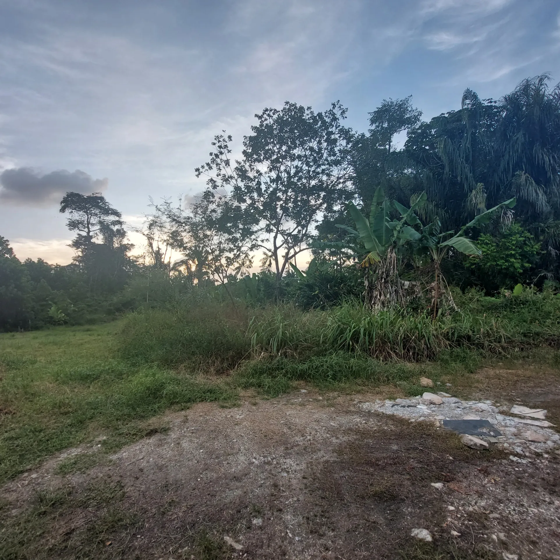 Terrain à bâtir à Macouria - 800 m2 