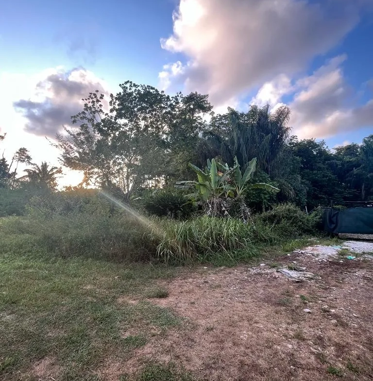 Terrain à bâtir à Macouria - 800 m2 