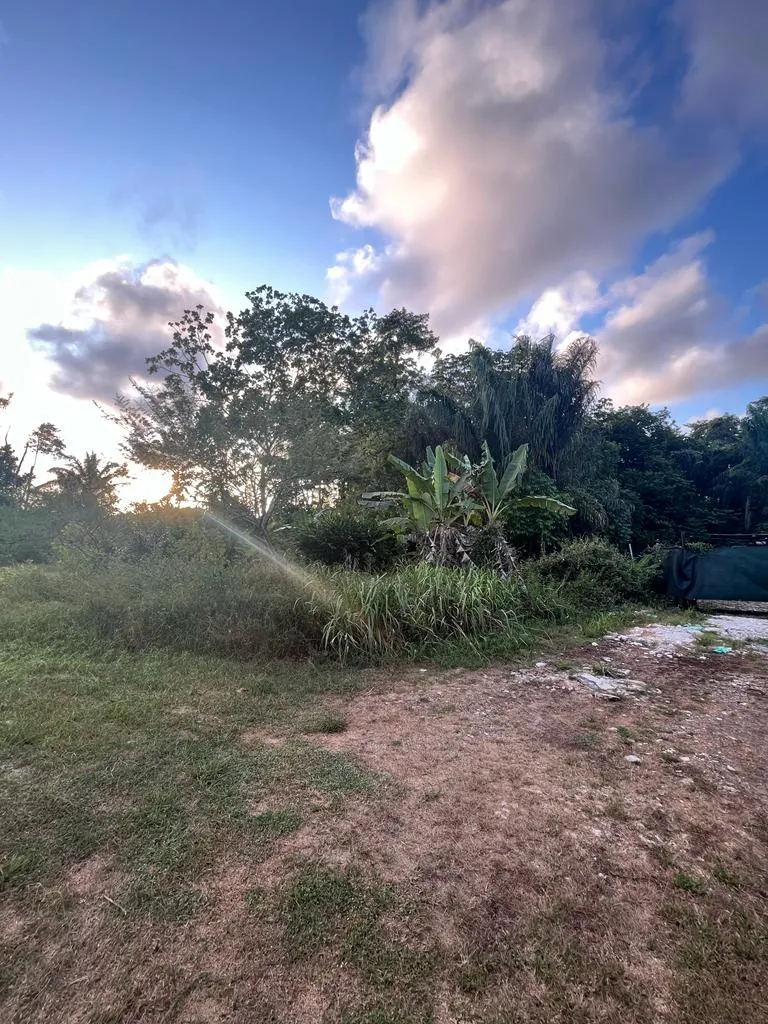 Terrain à bâtir à Macouria - 800 m2 