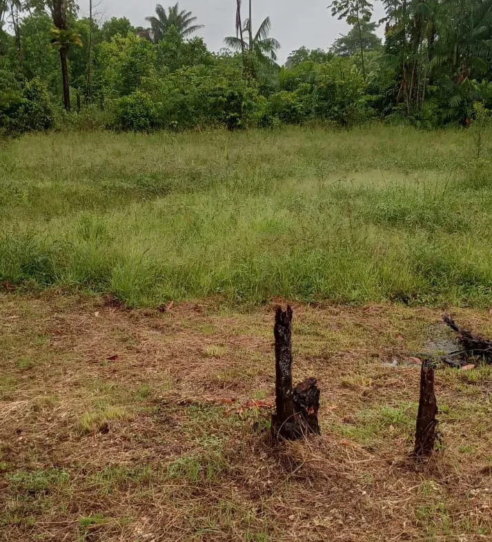 Terrain à bâtir à Macouria - 800 m2 