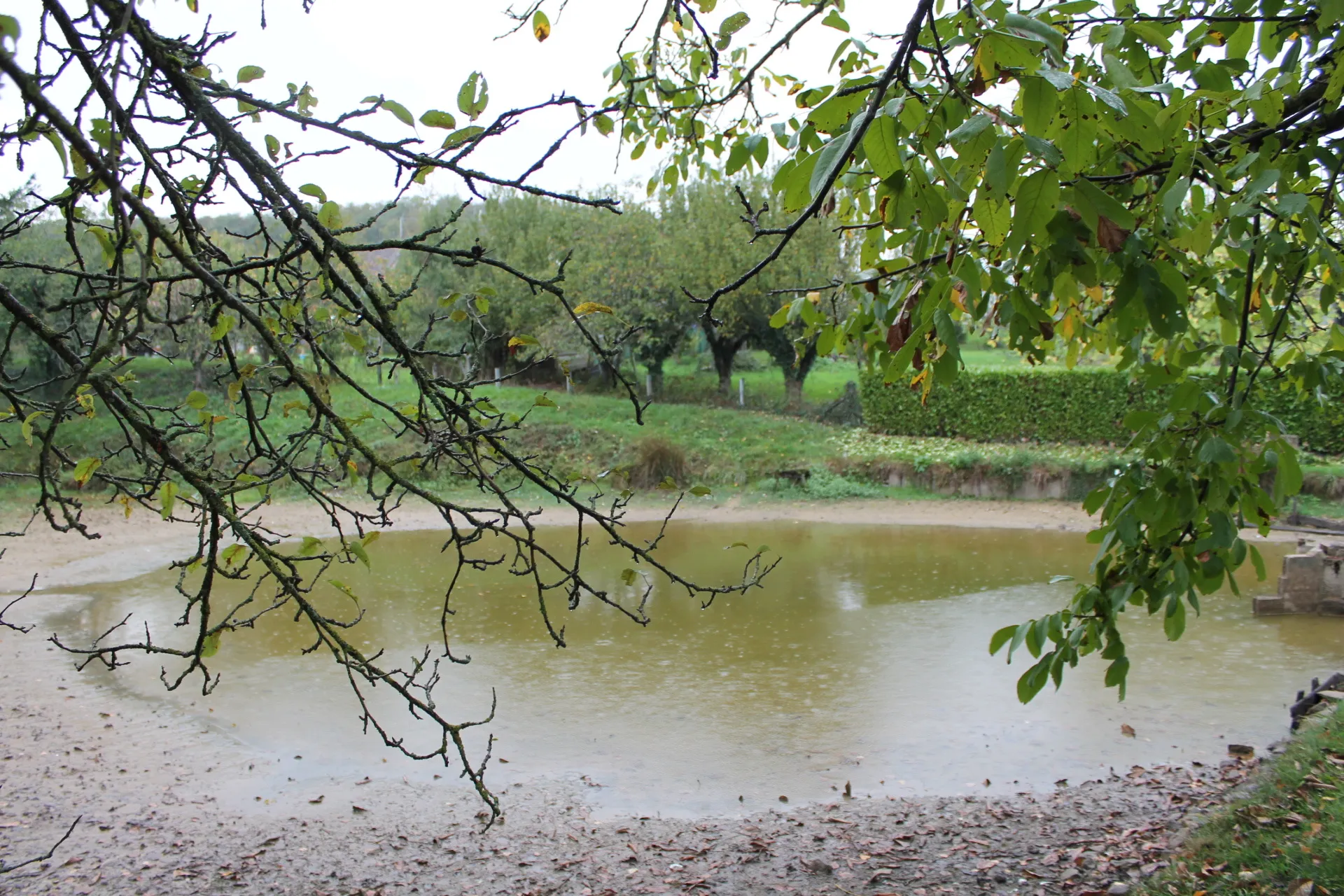 Maison d'habitation avec jardin et étang à Couleuvre 