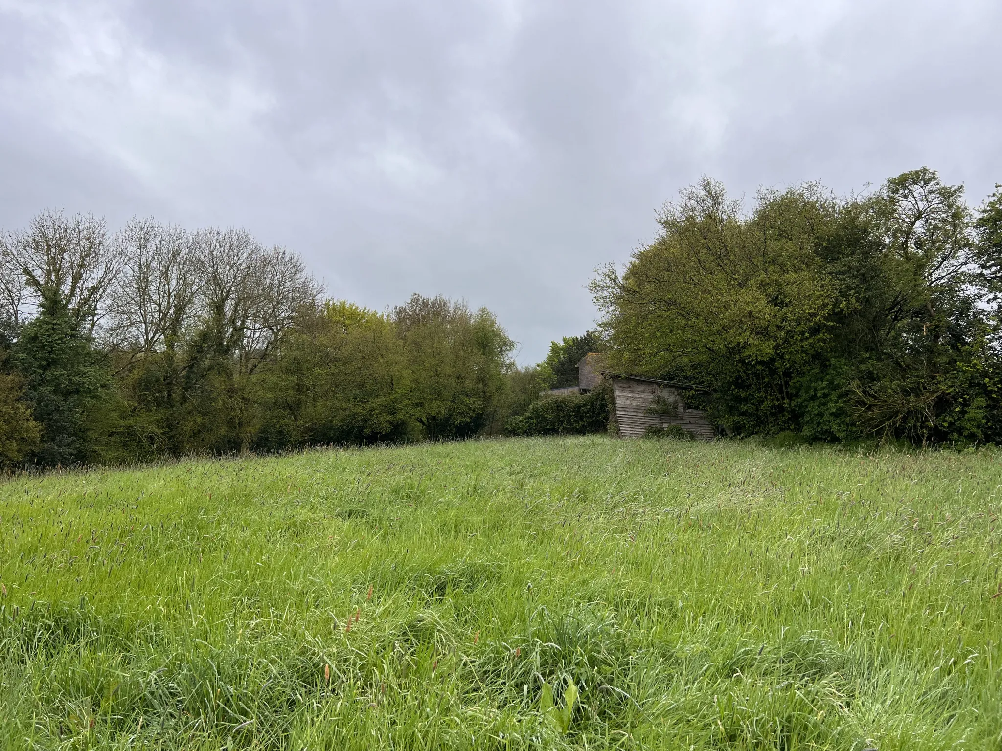 Terrain à Saint-Cyr-du-Ronceray 