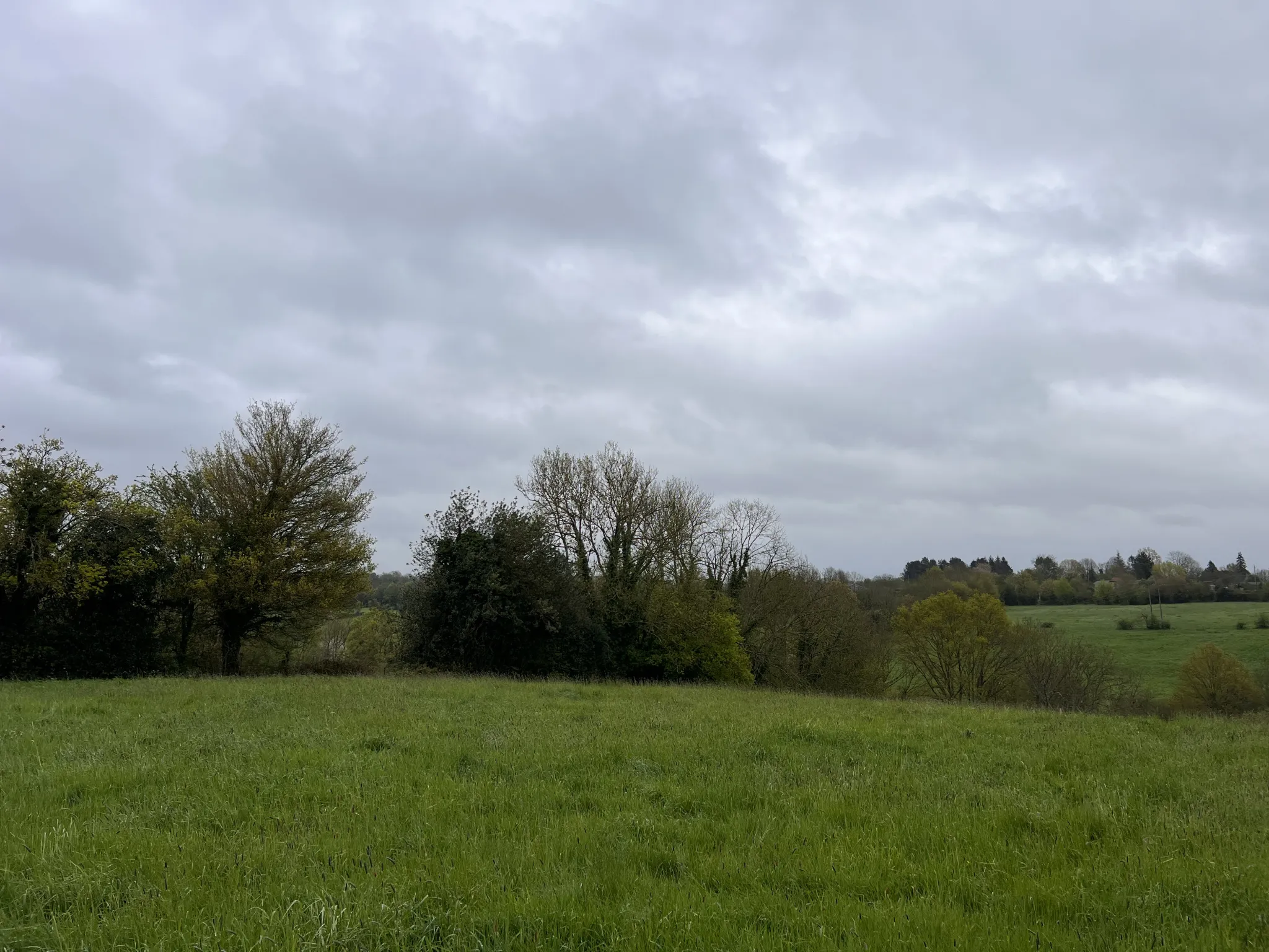 Terrain à Saint-Cyr-du-Ronceray 