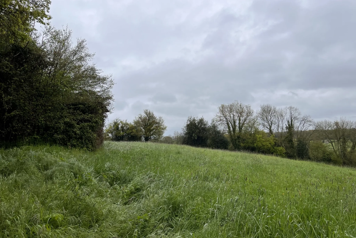 Terrain à Saint-Cyr-du-Ronceray 