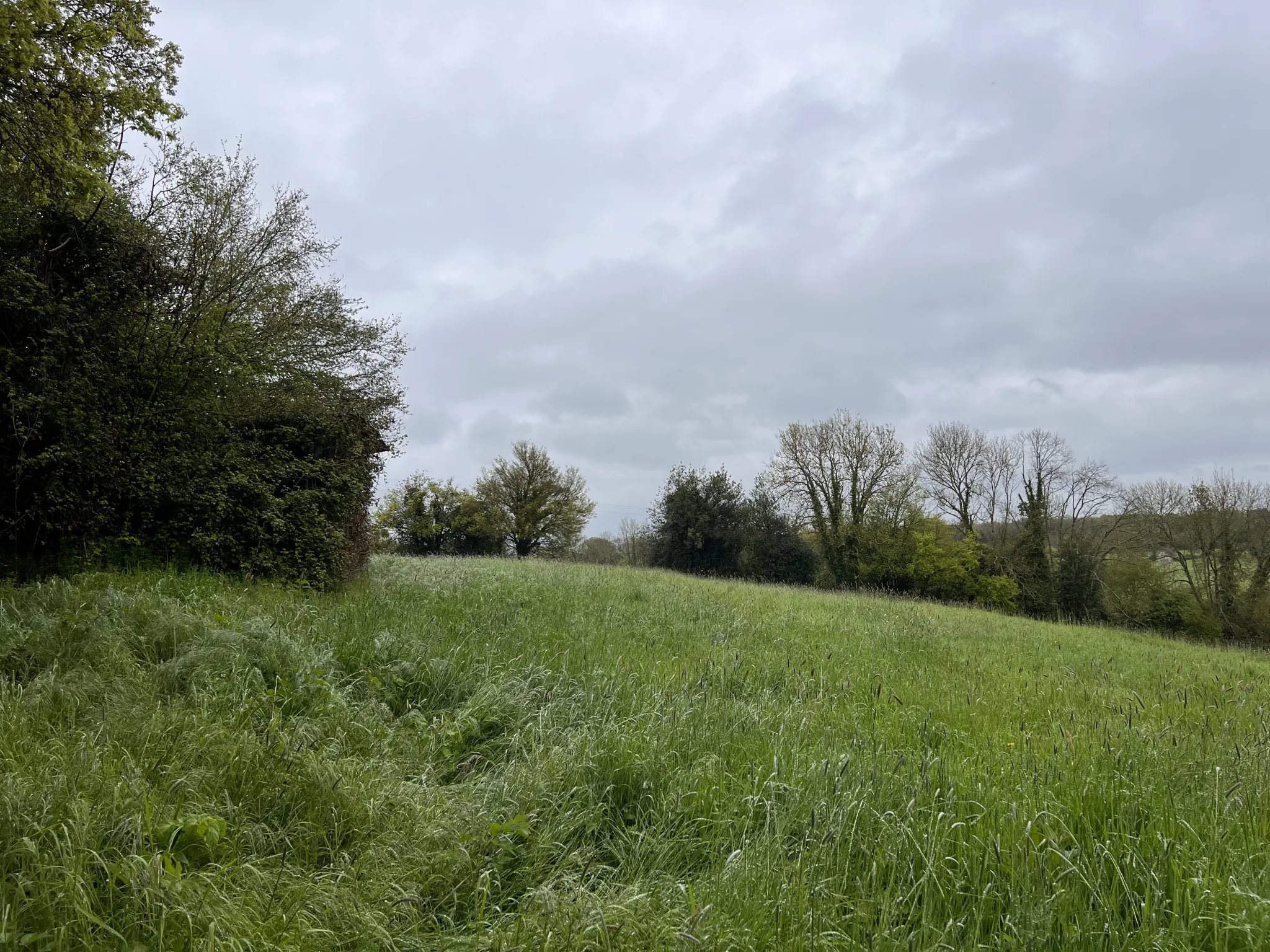 Terrain à Saint-Cyr-du-Ronceray 