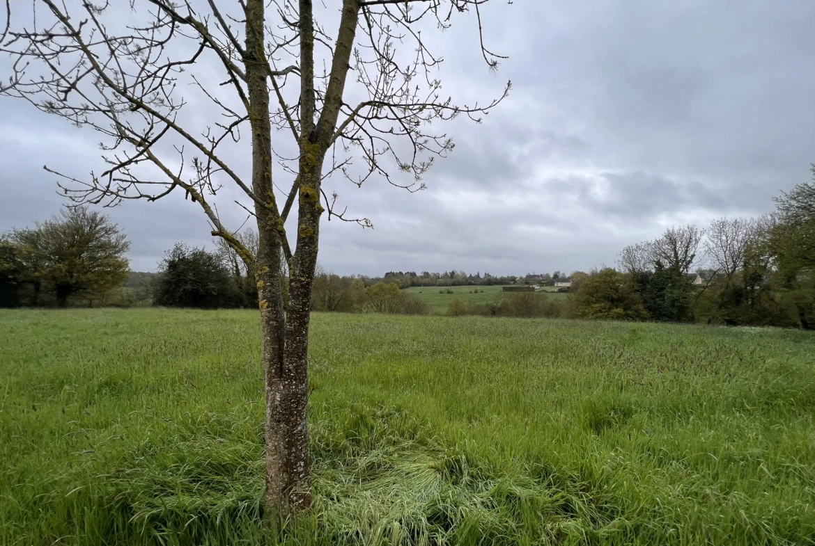 Terrain à Saint-Cyr-du-Ronceray 