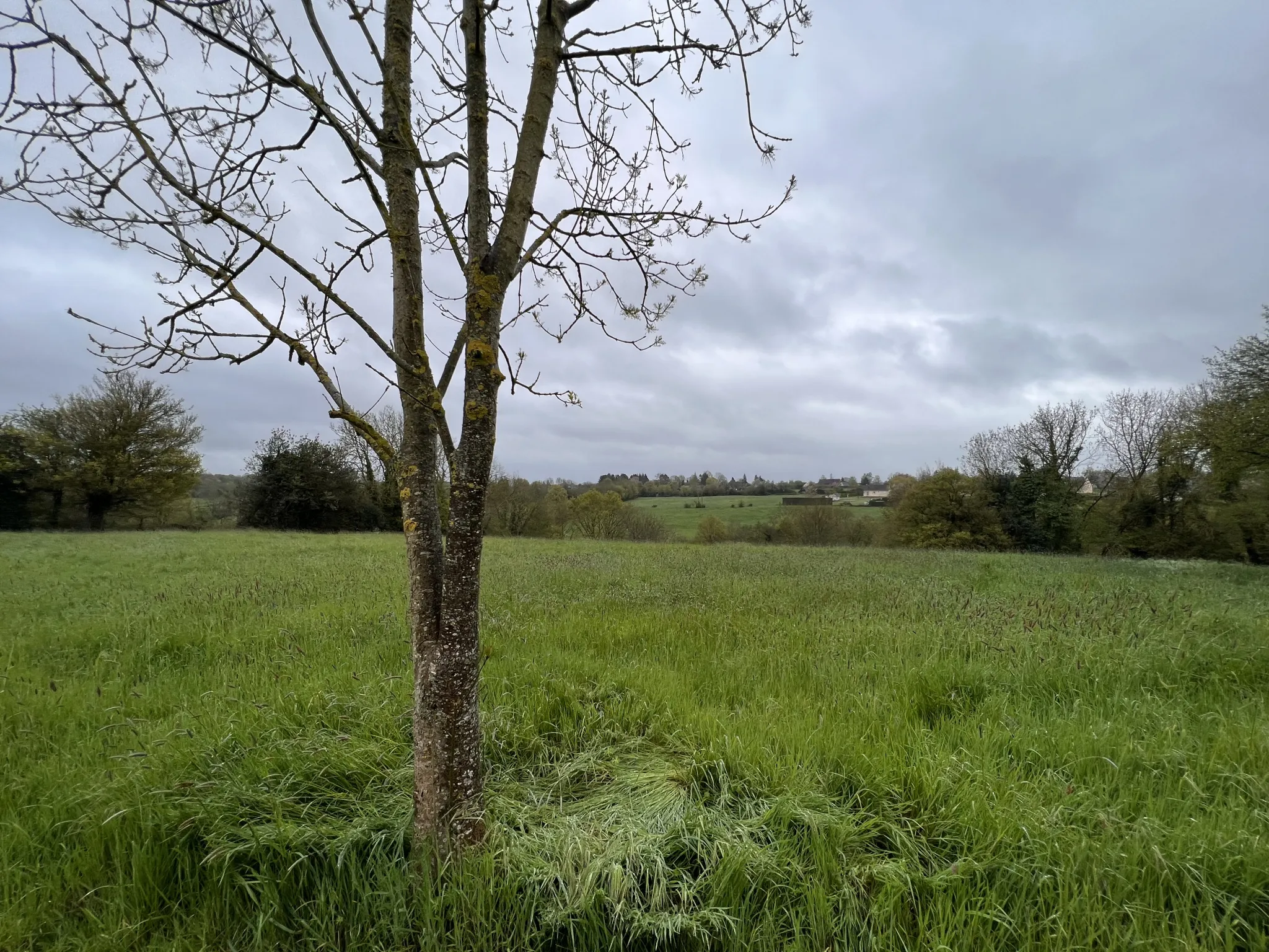 Terrain à Saint-Cyr-du-Ronceray 