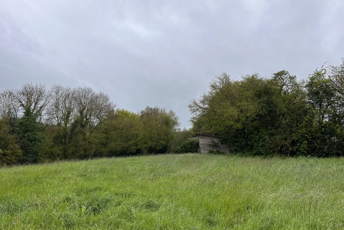 Terrain à Saint-Cyr-du-Ronceray 