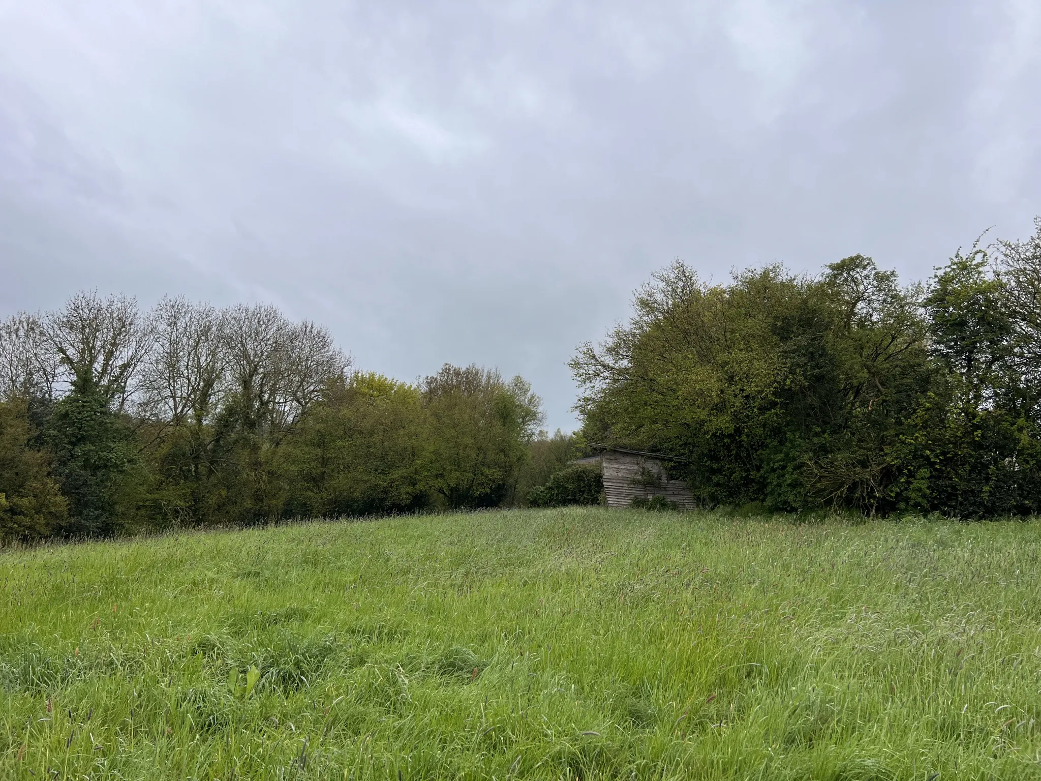 Terrain à Saint-Cyr-du-Ronceray 