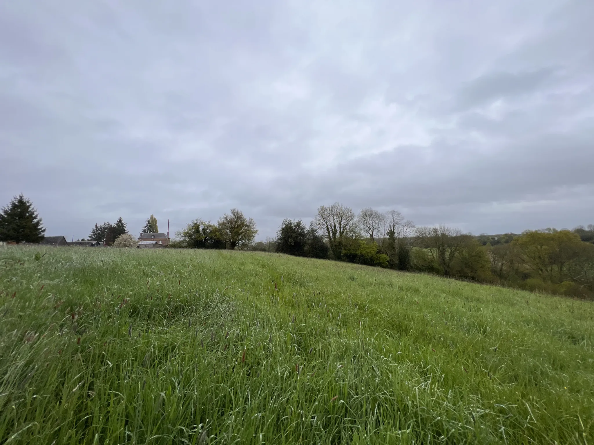 Terrain à Saint-Cyr-du-Ronceray 