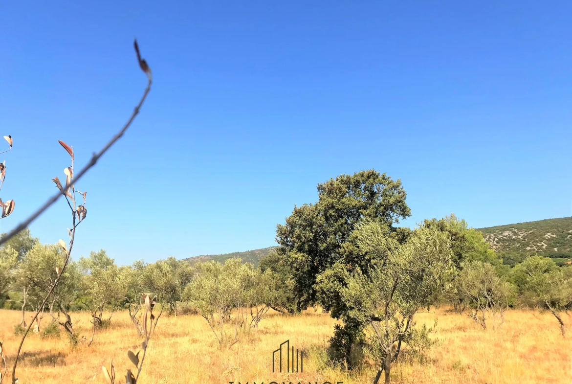 Terrain agricole avec oliviers de 3460 m2 à Aniane 