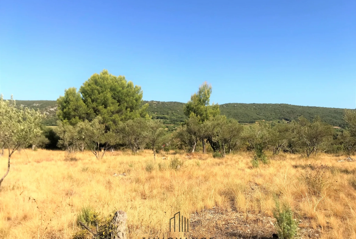 Terrain agricole avec oliviers de 3460 m2 à Aniane 