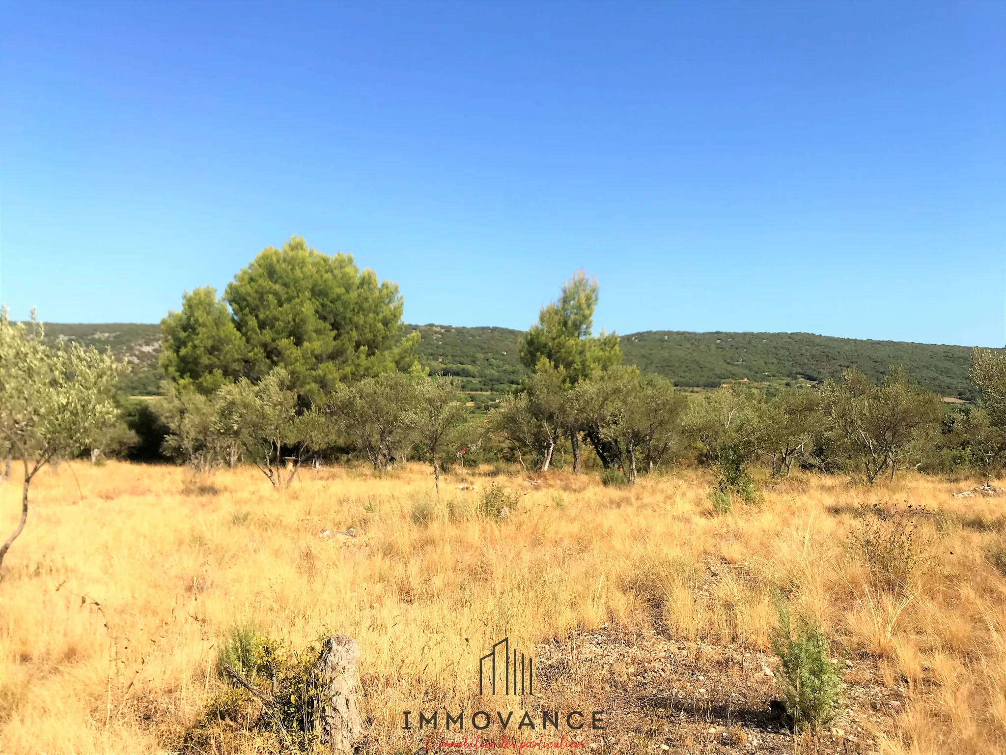 Terrain agricole avec oliviers de 3460 m2 à Aniane 