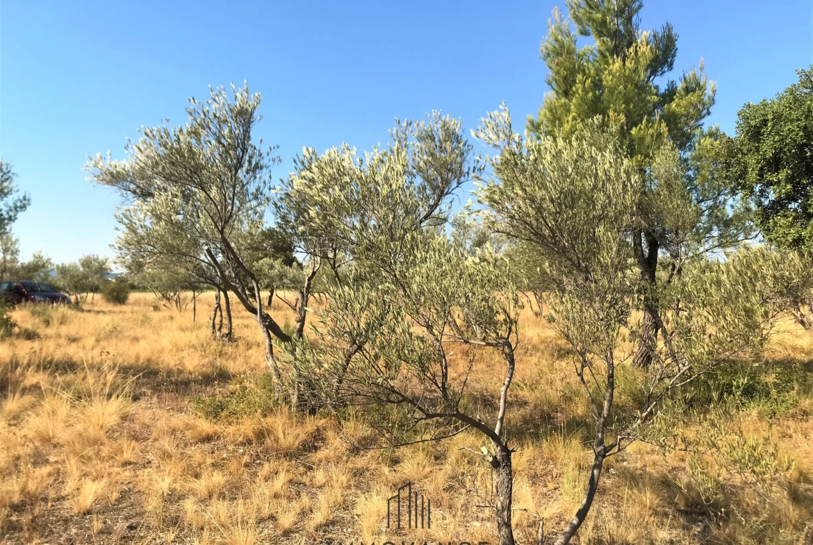 Terrain agricole avec oliviers de 3460 m2 à Aniane 