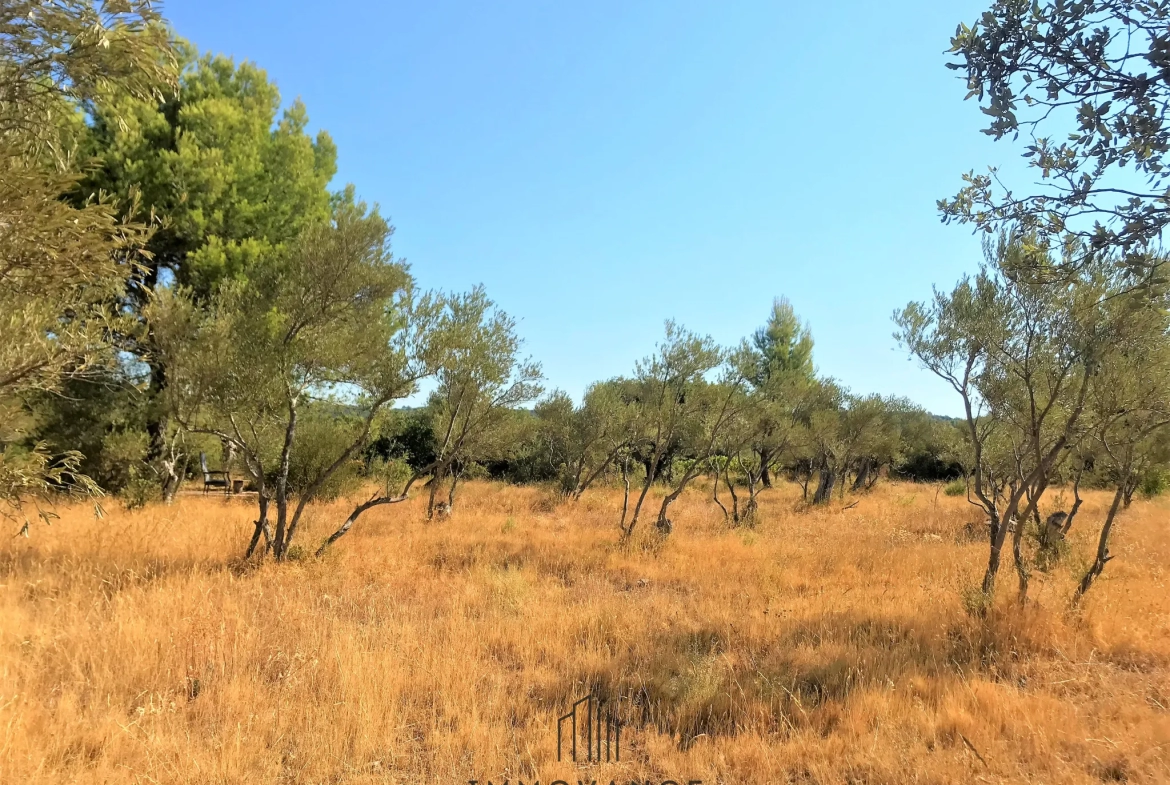 Terrain agricole avec oliviers de 3460 m2 à Aniane 