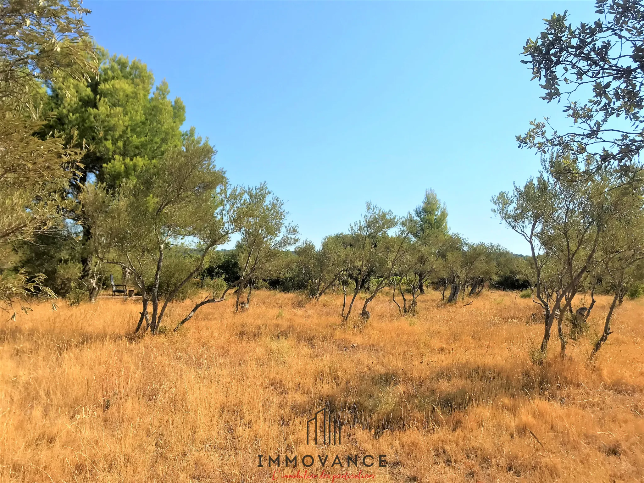 Terrain agricole avec oliviers de 3460 m2 à Aniane 