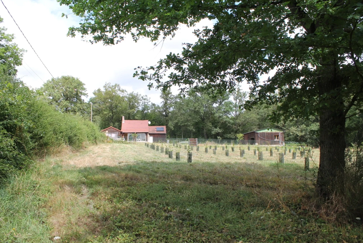 Maison avec 2 granges sur un terrain de plus d'un hectare avec plantation de 300 Charmes Truffier 