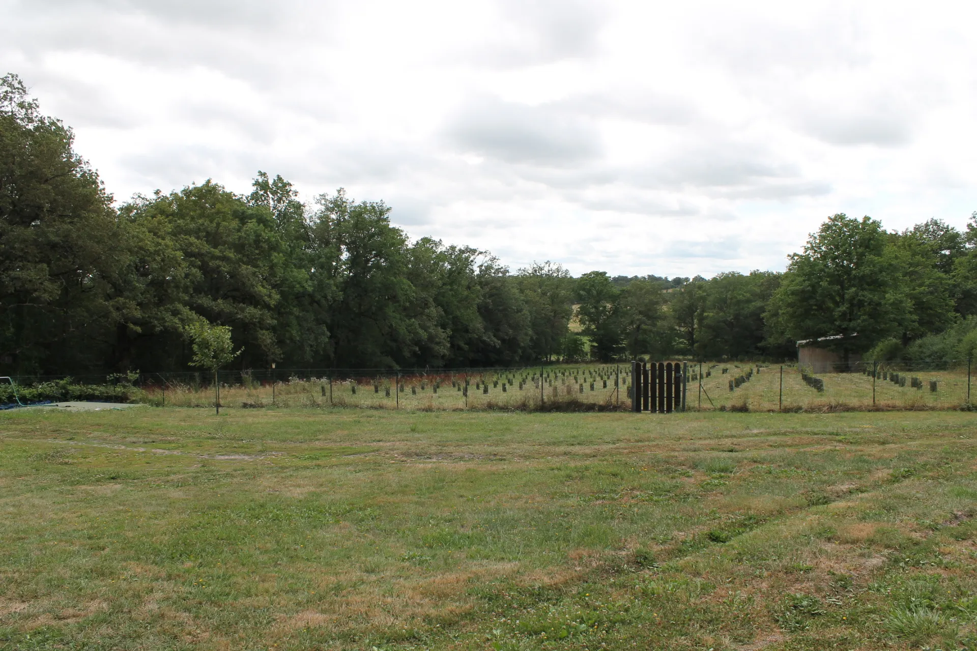 Maison avec 2 granges sur un terrain de plus d'un hectare avec plantation de 300 Charmes Truffier 