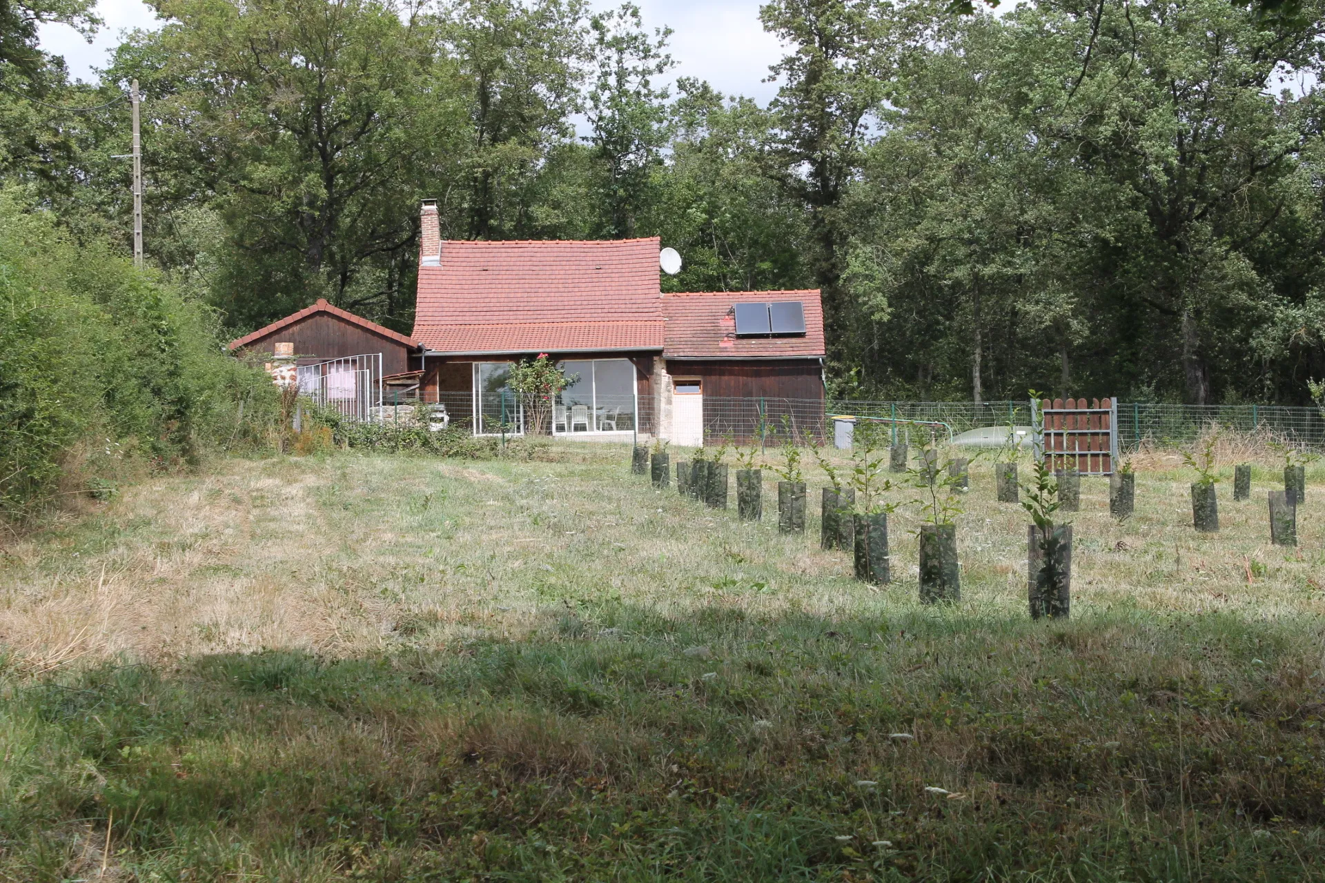 Maison avec 2 granges sur un terrain de plus d'un hectare avec plantation de 300 Charmes Truffier 