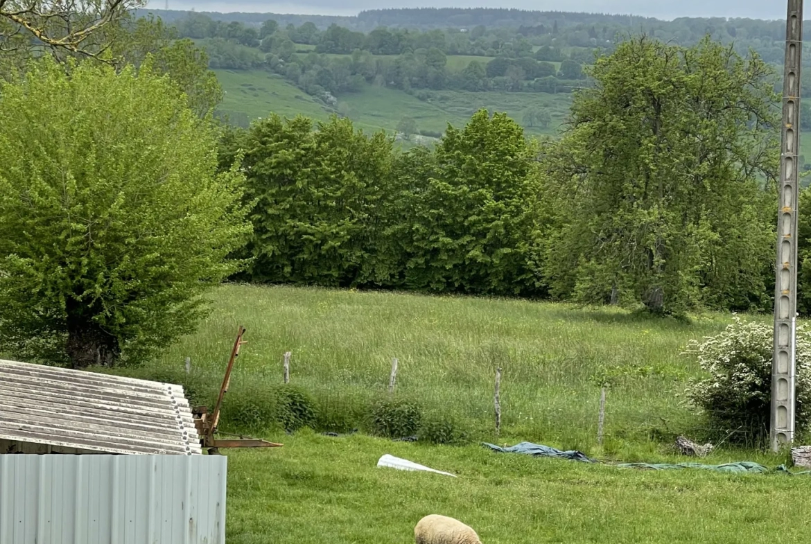 Petite maison en campagne avec 2 hectares et demi de terrain 