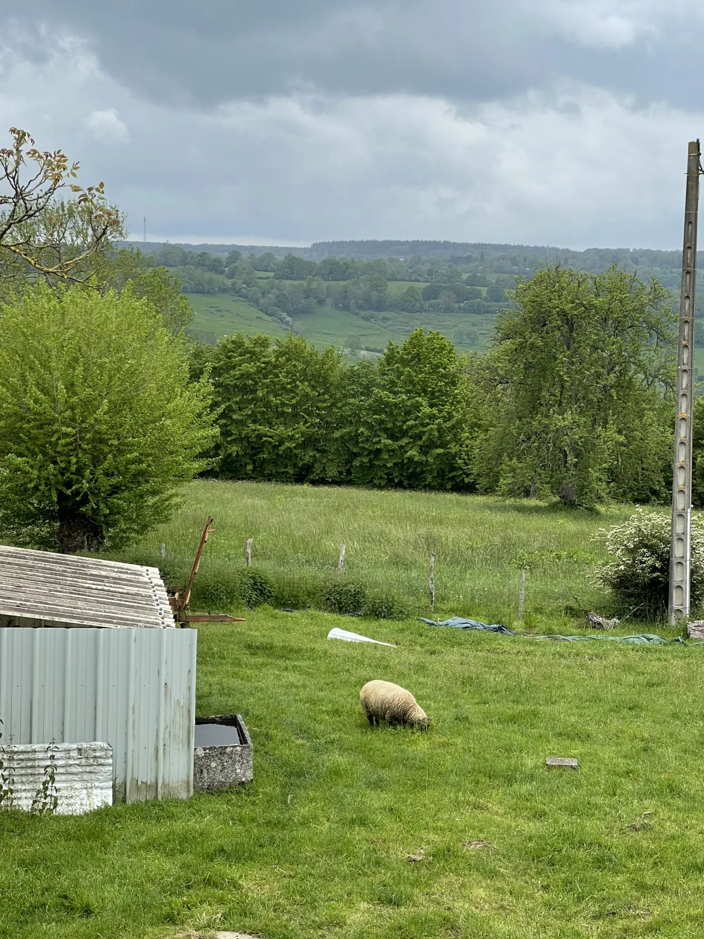 Petite maison en campagne avec 2 hectares et demi de terrain 