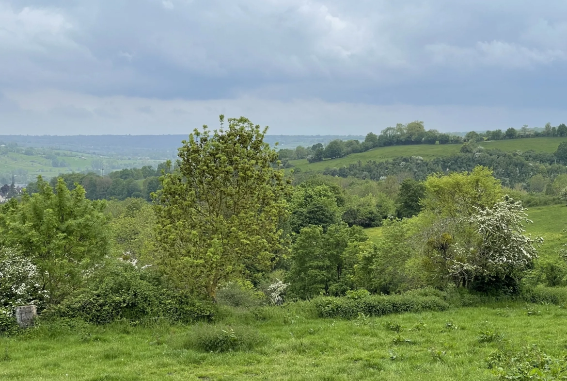 Petite maison en campagne avec 2 hectares et demi de terrain 