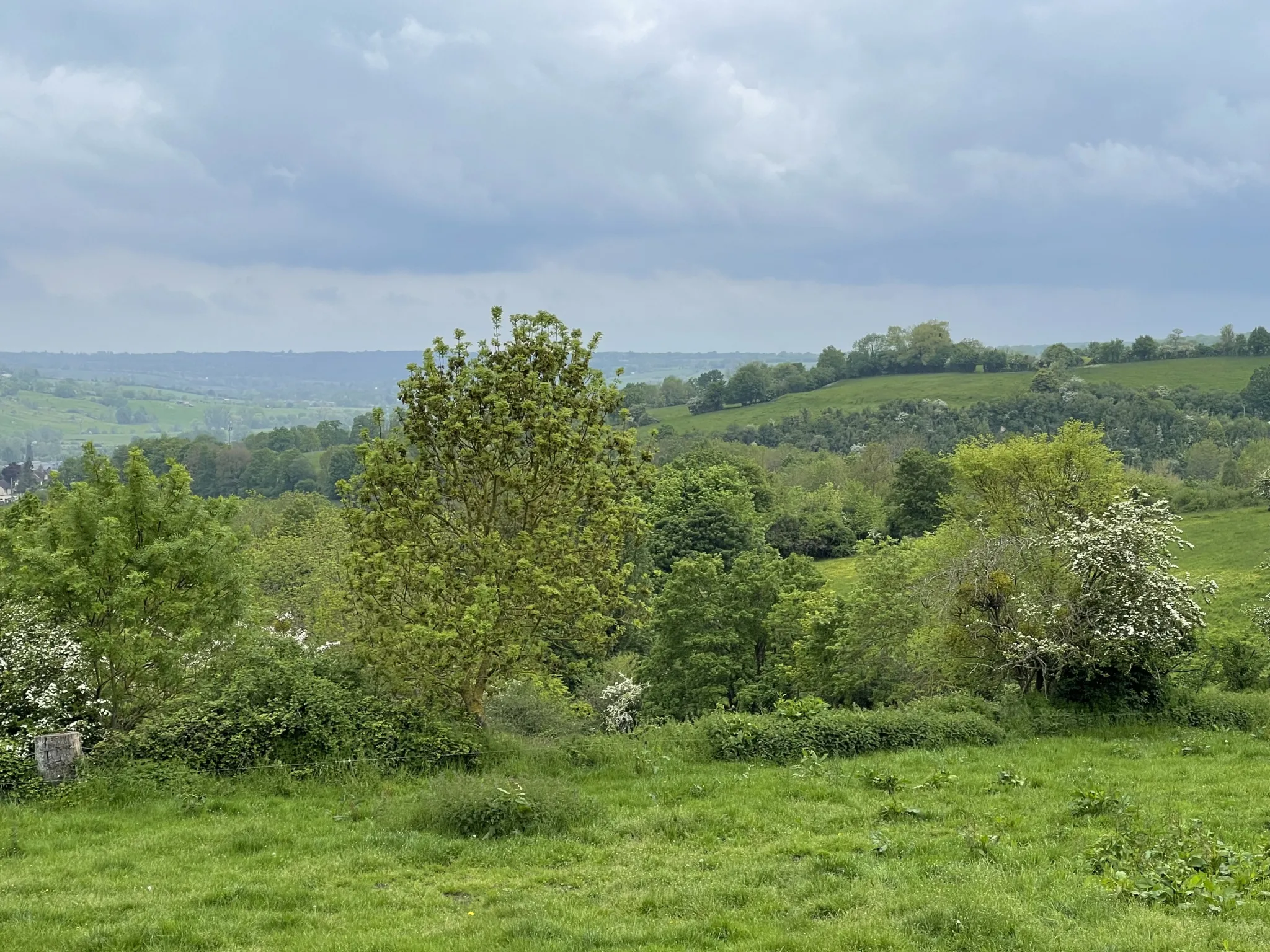 Petite maison en campagne avec 2 hectares et demi de terrain 