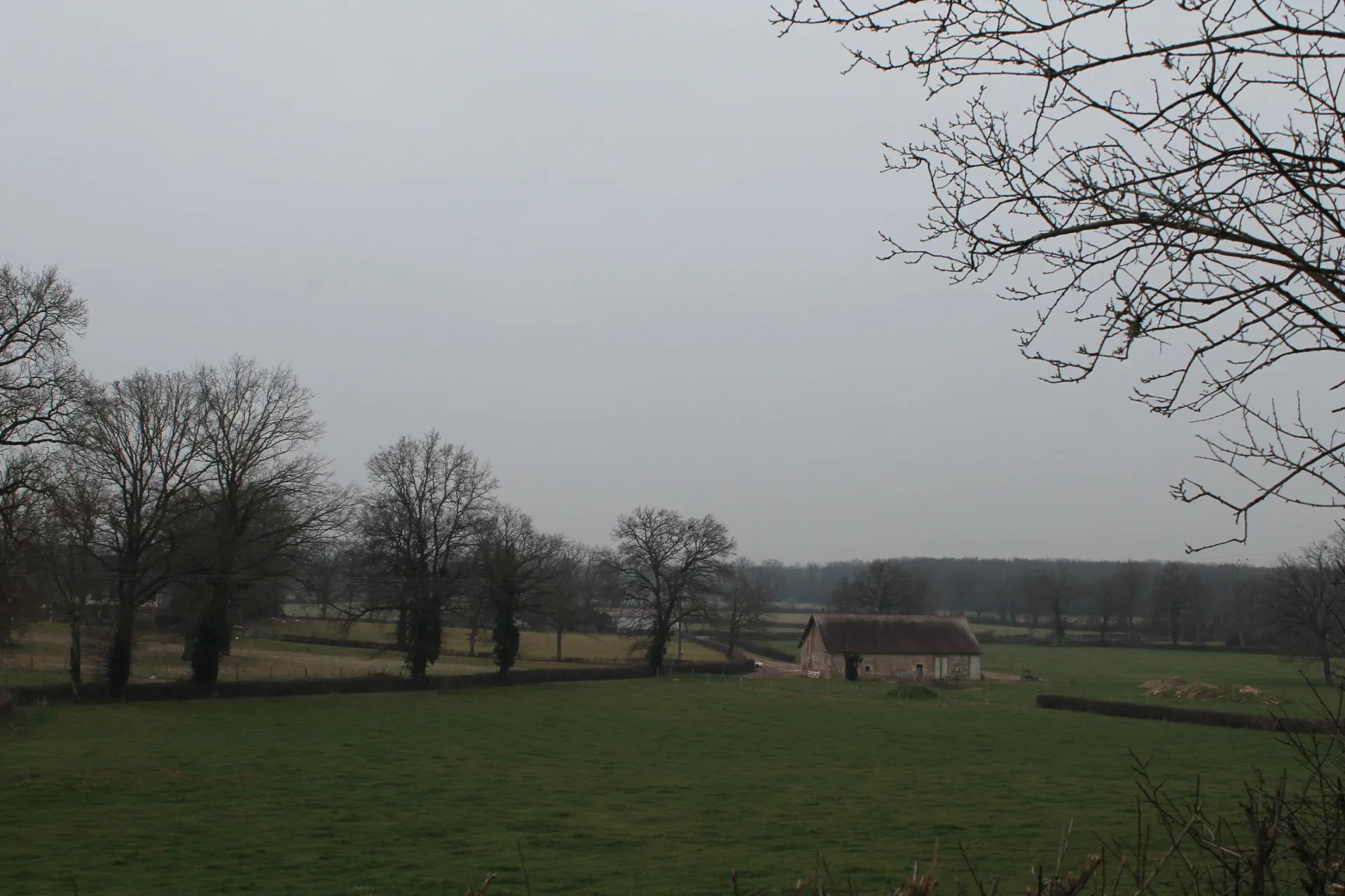 Maison à Cosne d'Allier sur +/- 4000 m2 de terrain, avec vue dégagée. 